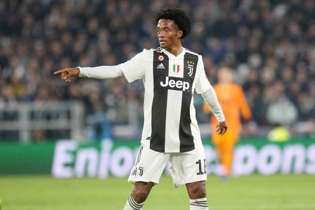 马医疗团队 马医疗团队