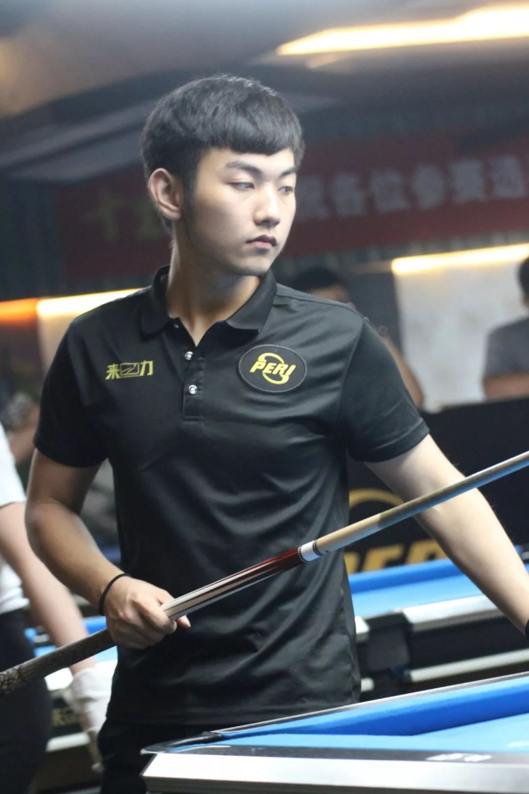 才华横溢的 才华横溢的